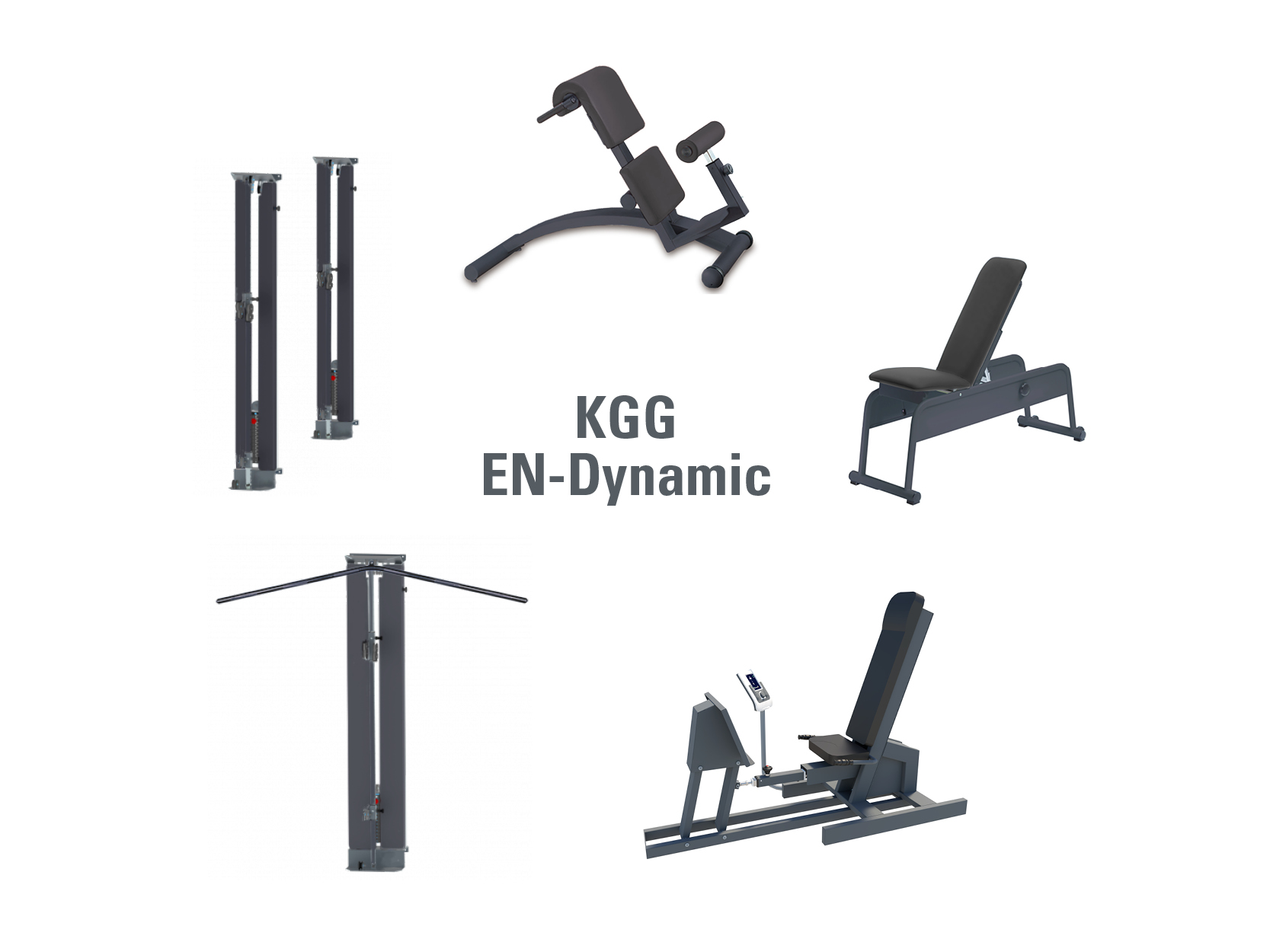 EN-Dynamic KGG-Zirkel